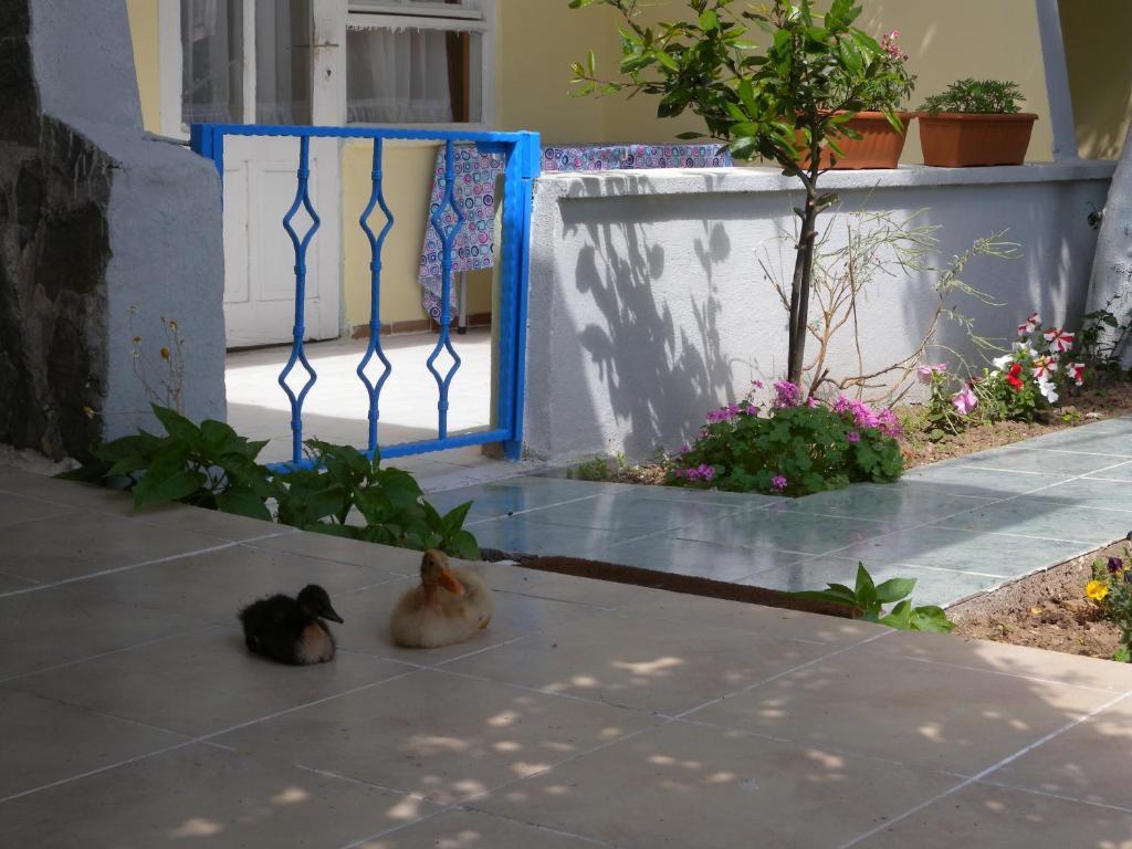 Eysan Pansiyon Akcay  Exterior photo